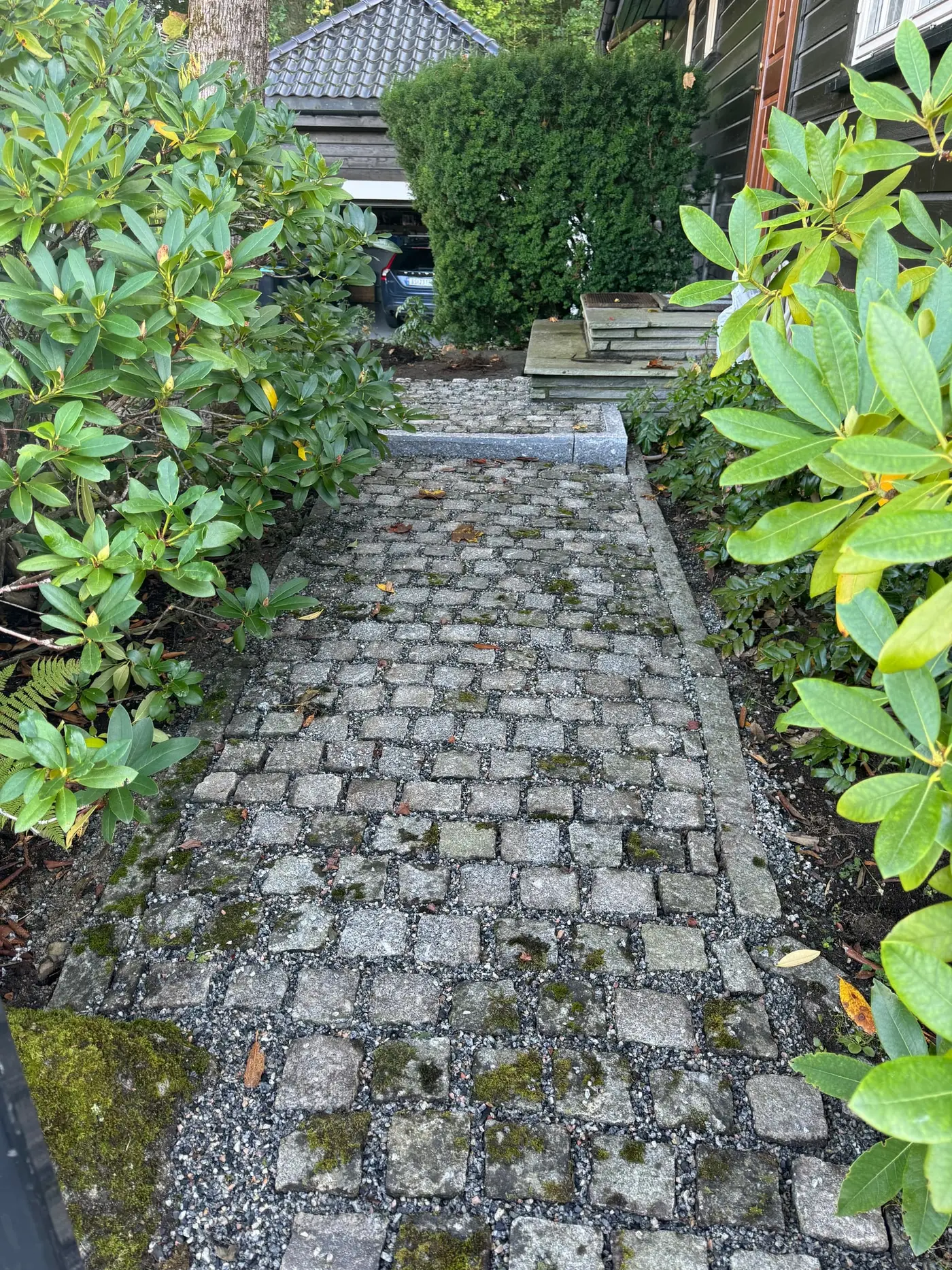 Gangvei i granitt smågatestein med granitt kantstein og rododendron på begge sider