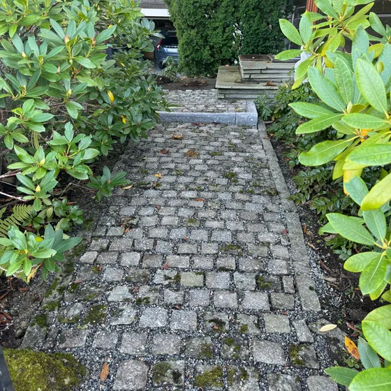 Gangvei i granitt smågatestein med granitt kantstein og rododendron på begge sider